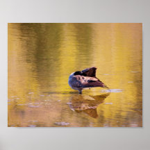 ゴールデングース