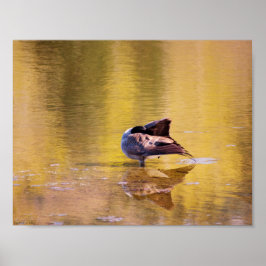 ゴールデングース ポスター