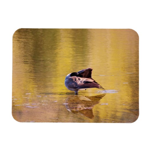 ゴールデングース マグネット (横)