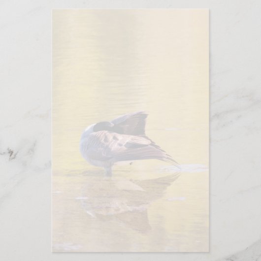 ゴールデングース 便箋 (正面)