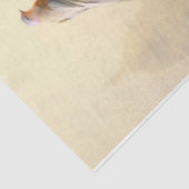 ゴールデンケージ 薄葉紙 (詳細)