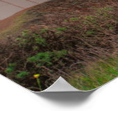 ゴールデンゲートブリッジエリーサンライズ ポスター (角)