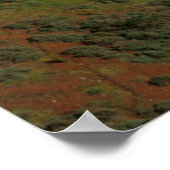 ゴールデンゲートブリッジ ポスター (角)