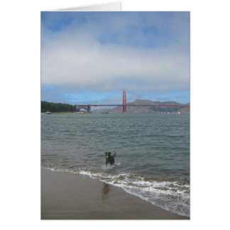 ゴールデンゲートブリッジJake