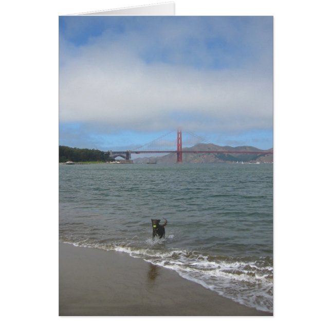 ゴールデンゲートブリッジJake (正面)