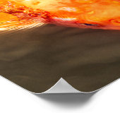 ゴールデンコイスイミングフィッシュ写真 ポスター (角)