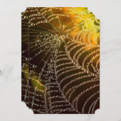 ゴールデンコブウェブハロウィーン結婚式招待状 招待状 (正面/裏面)