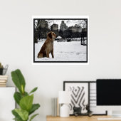 ゴールデンコンサーバトリー・セントラルパーク3Dフレームポスター ポスター (ホームオフィス)