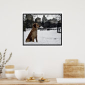 ゴールデンコンサーバトリー・セントラルパーク3Dフレームポスター ポスター (キッチン)