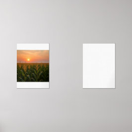 ゴールデンコーンフィールドサンセットバックグラウンド