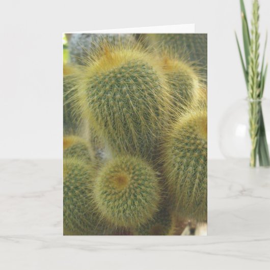 ゴールデンサボテン札 シーズンカード (正面)