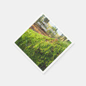 ゴールデンサンシャインのコケ – カスタムThanksgiving スタンダードカクテルナプキン (角)