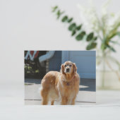 ゴールデンサンシャイン ポストカード (スタンド正面)