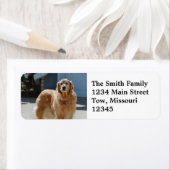 ゴールデンサンシャイン ラベル (インサイチュ)