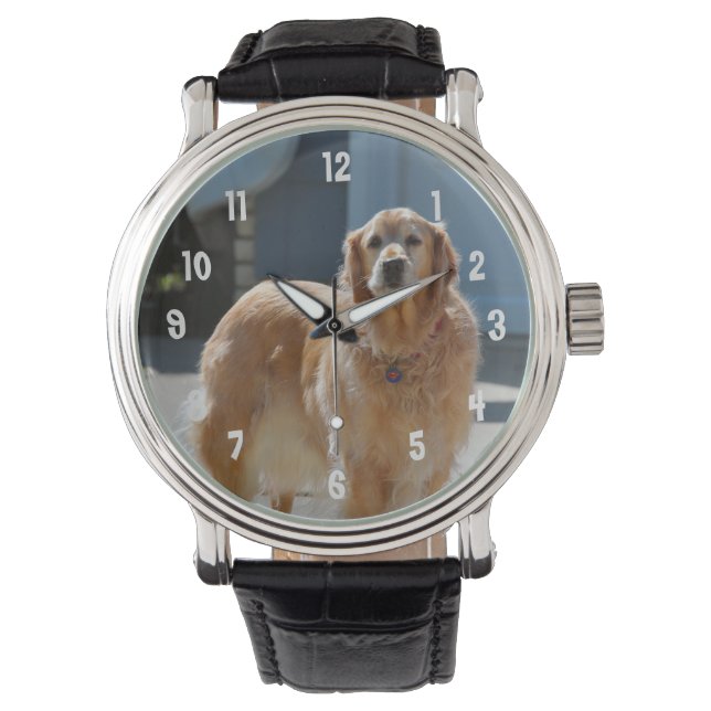 ゴールデンサンシャイン 腕時計 (正面)