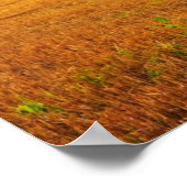 ゴールデンサンセットオーバーファームフィールド ポスター (角)