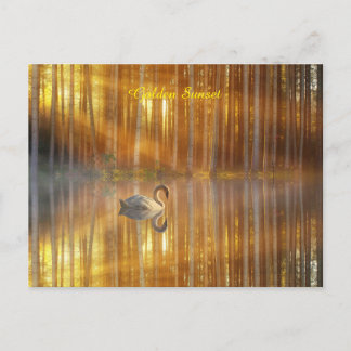 ゴールデンサンセットポストカード ポストカード