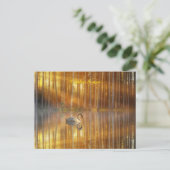 ゴールデンサンセットポストカード ポストカード (スタンド正面)