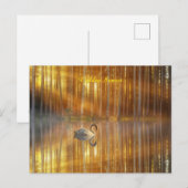 ゴールデンサンセットポストカード ポストカード (正面/裏面)