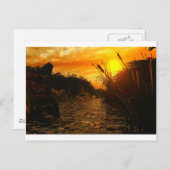 ゴールデンサンセット ポストカード (正面/裏面)