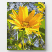 ゴールデンサンフラワー フォトプラーク (正面)