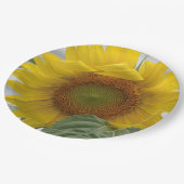 ゴールデンサンフラワー ペーパープレート (アングル)