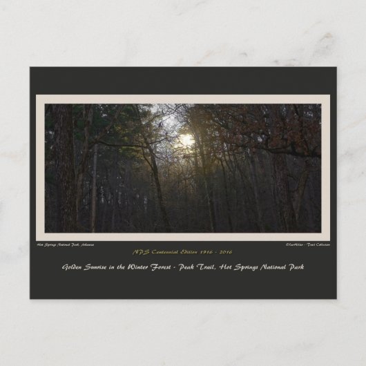 ゴールデンサンライズウィンターフォレスト100年エド ポストカード (正面)