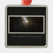 ゴールデンサンライズウィンターフォレスト100年エド メタルオーナメント (正面)