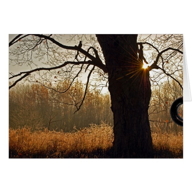 ゴールデンサンライズ (正面横)