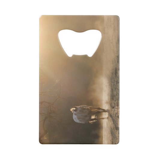 ゴールデンサンライトに美しいアパロオーサボトルオープン クレジットカード栓抜き (正面)