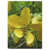 ゴールデンシャワーツリートロピカルイエローフローラ クリップボード (裏面)