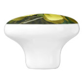 ゴールデンシャワーツリートロピカルイエローフローラ セラミックノブ (側面)