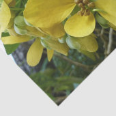 ゴールデンシャワーツリートロピカルイエローフローラ 薄葉紙 (詳細)