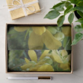 ゴールデンシャワーツリートロピカルイエローフローラ 薄葉紙 (ギフト)