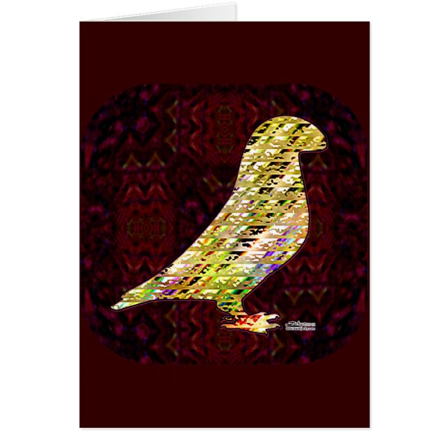 ゴールデンショーレーサーピジョン (正面)