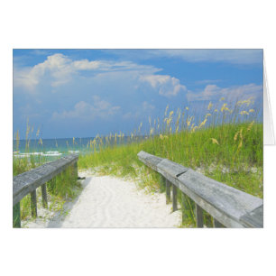 ゴールデンシーオーツ