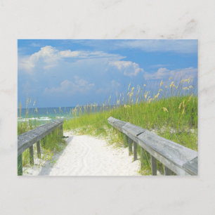 ゴールデンシーオーツ ポストカード