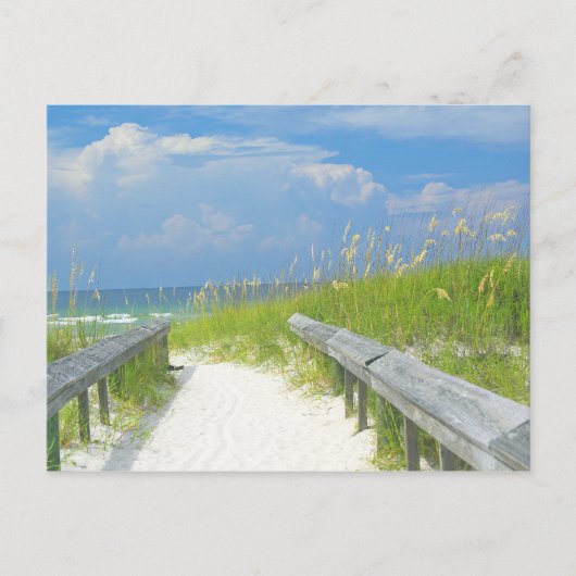 ゴールデンシーオーツ ポストカード (正面)