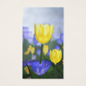 ゴールデンジュビリーブックマーク (裏面)