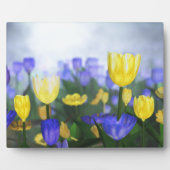 ゴールデンジュビリープラーク フォトプラーク (正面)