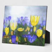 ゴールデンジュビリープラーク フォトプラーク (側面)