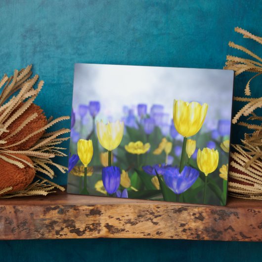 ゴールデンジュビリープラーク フォトプラーク (側面)