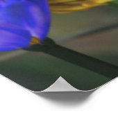 ゴールデンジュビリープリント ポスター (角)