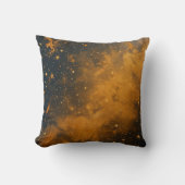 ゴールデンスカイ クッション (正面)