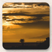 ゴールデンスカイ コースター (正面)