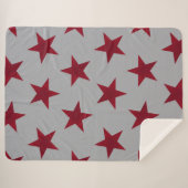 ゴールデンスターズパターン11 シェルパブランケット (正面(横))