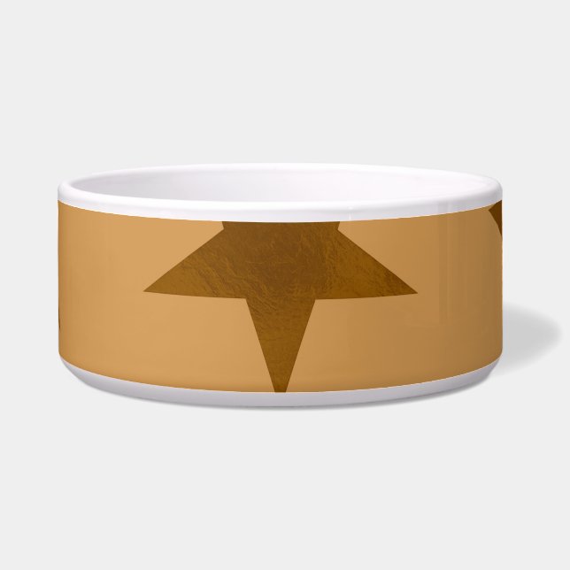 ゴールデンスターズパターン14 ボウル (正面)