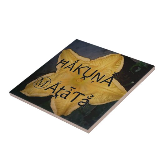 ゴールデンスターハクナマタタアートプリント タイル (側面)