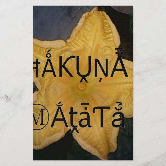 ゴールデンスターハクナマタタアートプリント 便箋 (正面)