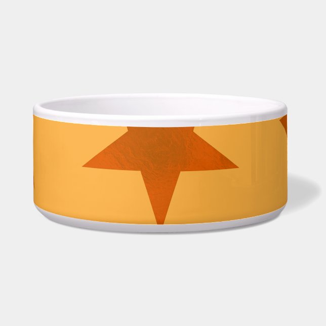ゴールデンスターパターン2 ボウル (正面)